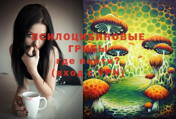 мдпв Корсаков