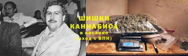 мдпв Корсаков