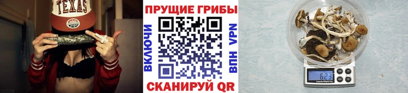 Галлюциногенные грибы мухоморы Кяхта